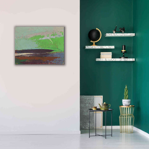 Image of 'Ceide Study XIII' by Grainne Dowling, Canvas Wall Art,34 x 26