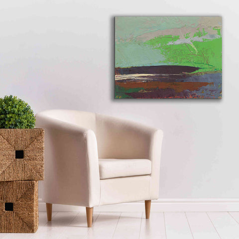Image of 'Ceide Study XIII' by Grainne Dowling, Canvas Wall Art,34 x 26