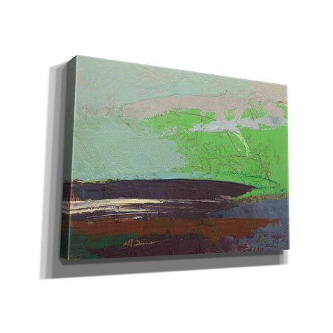 Image of 'Ceide Study XIII' by Grainne Dowling, Canvas Wall Art