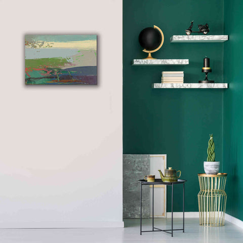 Image of 'Ceide Study XIV' by Grainne Dowling, Canvas Wall Art,26 x 18