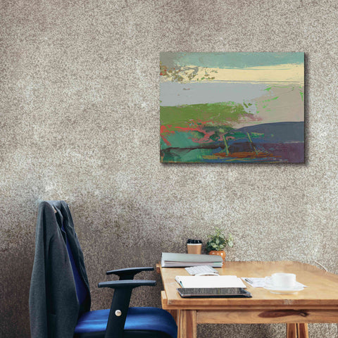 Image of 'Ceide Study XIV' by Grainne Dowling, Canvas Wall Art,34 x 26