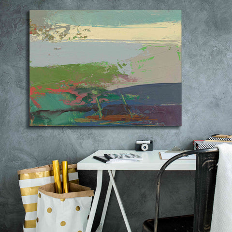 Image of 'Ceide Study XIV' by Grainne Dowling, Canvas Wall Art,34 x 26