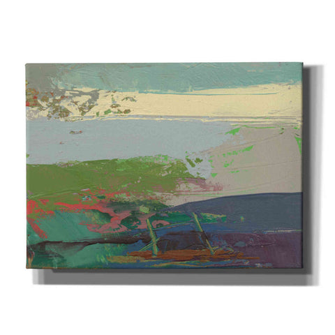 Image of 'Ceide Study XIV' by Grainne Dowling, Canvas Wall Art