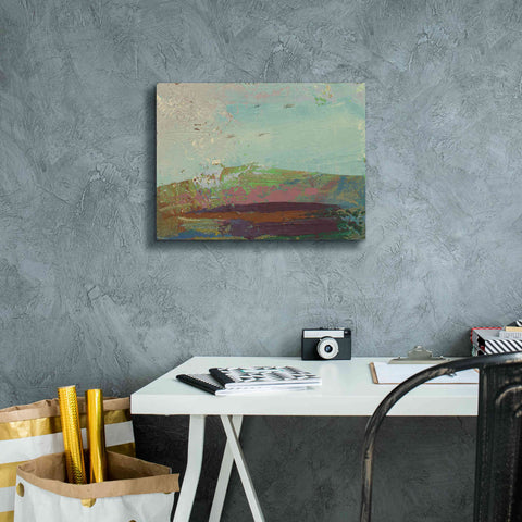 Image of 'Ceide Study XV' by Grainne Dowling, Canvas Wall Art,16 x 12