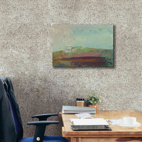 Image of 'Ceide Study XV' by Grainne Dowling, Canvas Wall Art,26 x 18