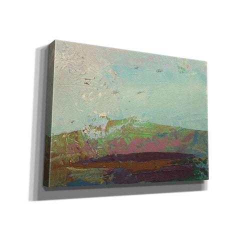 Image of 'Ceide Study XV' by Grainne Dowling, Canvas Wall Art