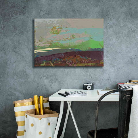 Image of 'Ceide Study XVI' by Grainne Dowling, Canvas Wall Art,26 x 18