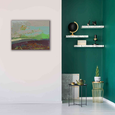 Image of 'Ceide Study XVI' by Grainne Dowling, Canvas Wall Art,34 x 26