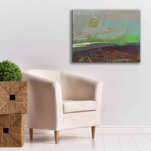 Image of 'Ceide Study XVI' by Grainne Dowling, Canvas Wall Art,34 x 26