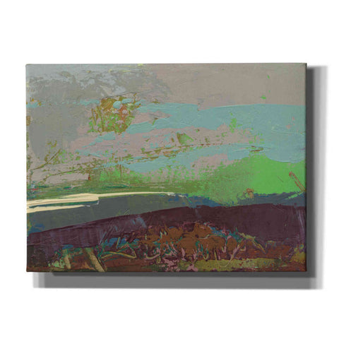 Image of 'Ceide Study XVI' by Grainne Dowling, Canvas Wall Art