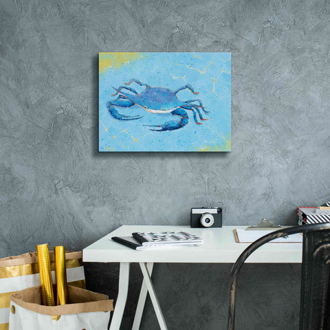 Image of 'Blue Crab V' by Phyllis Adams, Canvas Wall Art,16 x 12