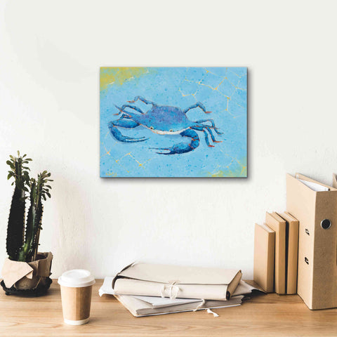 Image of 'Blue Crab V' by Phyllis Adams, Canvas Wall Art,16 x 12