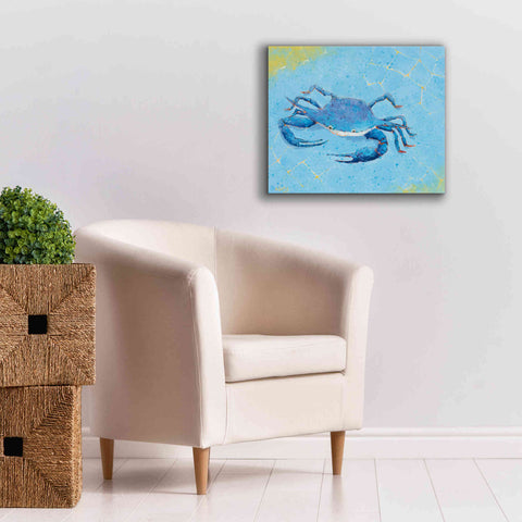Image of 'Blue Crab V' by Phyllis Adams, Canvas Wall Art,24 x 20
