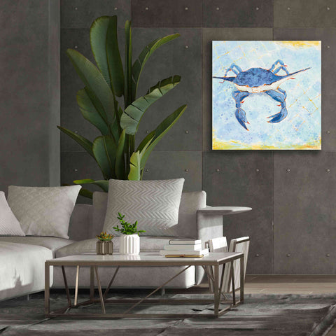 Image of 'Blue Crab VI' by Phyllis Adams, Canvas Wall Art,37 x 37