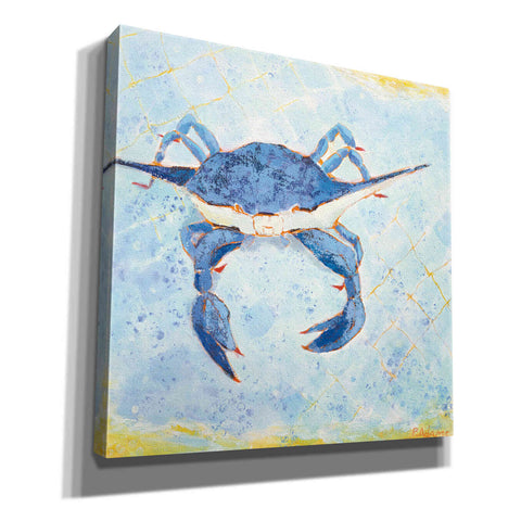 Image of 'Blue Crab VI' by Phyllis Adams, Canvas Wall Art