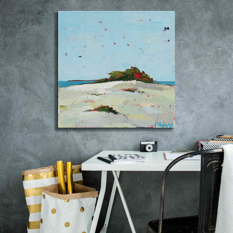 Image of 'Fall Dune' by Phyllis Adams, Canvas Wall Art,26 x 26