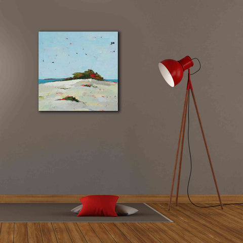 Image of 'Splash Pink' by Phyllis Adams, Canvas Wall Art,26 x 26