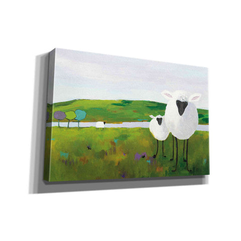 Image of 'Sheep in the Meadow' by Phyllis Adams, Canvas Wall Art
