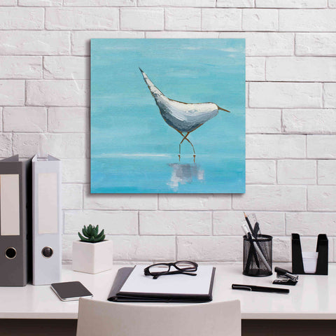 Image of 'The Strutter on White' by Phyllis Adams, Canvas Wall Art,18 x 18