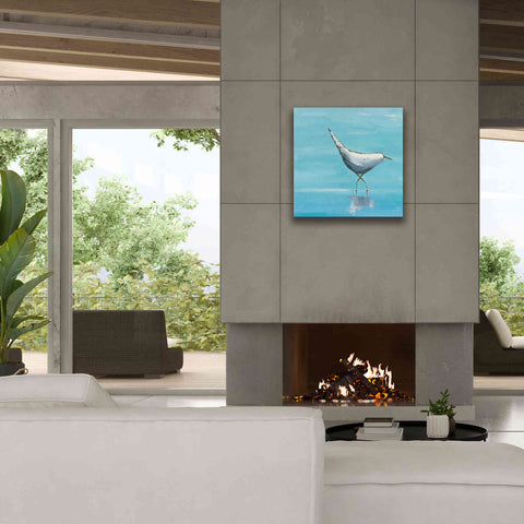 Image of 'The Strutter on White' by Phyllis Adams, Canvas Wall Art,26 x 26