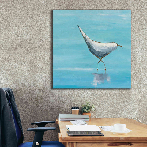 Image of 'The Strutter on White' by Phyllis Adams, Canvas Wall Art,37 x 37