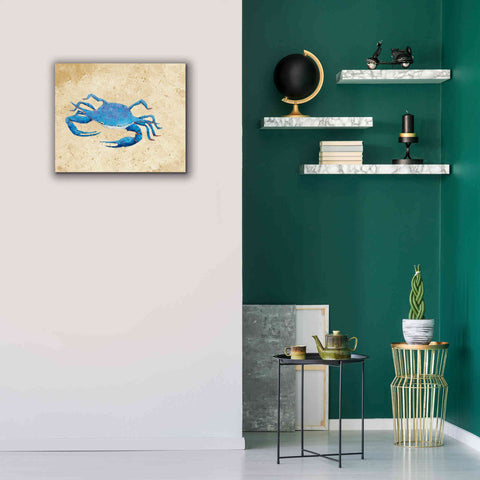 Image of 'Blue Crab V Neutral Crop' by Phyllis Adams, Canvas Wall Art,24 x 20