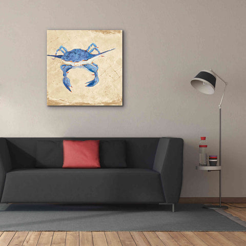 Image of 'Blue Crab VI Neutral' by Phyllis Adams, Canvas Wall Art,37 x 37