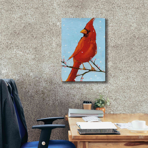 Image of 'Cardinal II' by Phyllis Adams, Canvas Wall Art,18 x 26