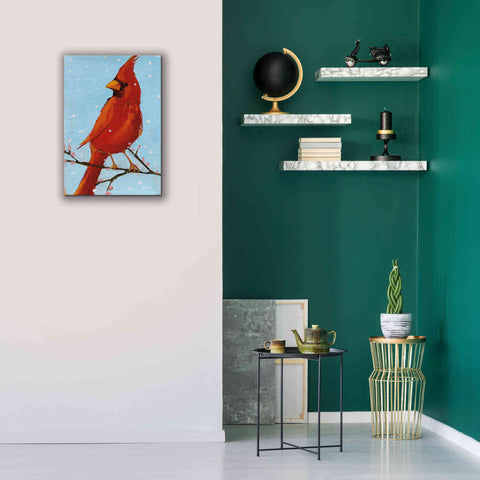 Image of 'Cardinal II' by Phyllis Adams, Canvas Wall Art,18 x 26