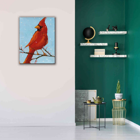 Image of 'Cardinal II' by Phyllis Adams, Canvas Wall Art,26 x 34