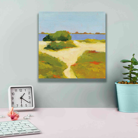 Image of 'Path to the Beach' by Phyllis Adams, Canvas Wall Art,12 x 12