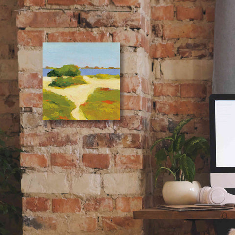 Image of 'Path to the Beach' by Phyllis Adams, Canvas Wall Art,12 x 12