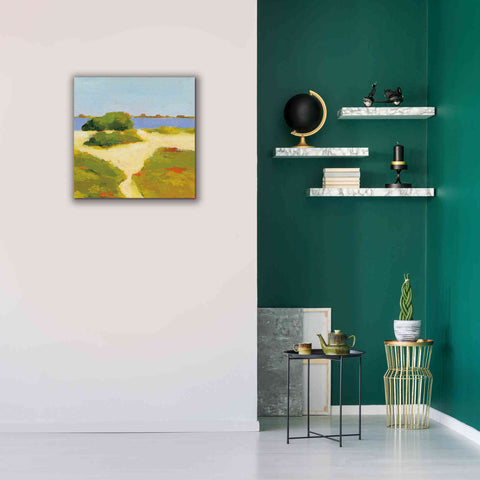 Image of 'Path to the Beach' by Phyllis Adams, Canvas Wall Art,26 x 26