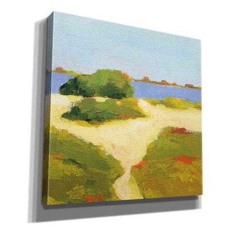 Image of 'Path to the Beach' by Phyllis Adams, Canvas Wall Art
