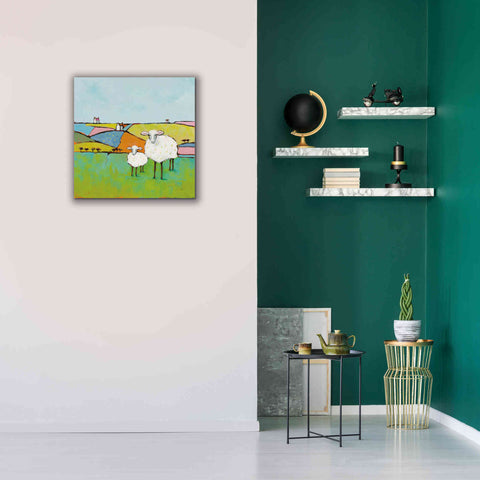 Image of 'Sheep in the Meadow II' by Phyllis Adams, Canvas Wall Art,26 x 26