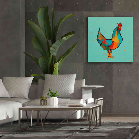 Image of 'The Strutter' by Phyllis Adams, Canvas Wall Art,37 x 37
