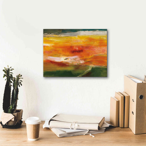 Image of 'Bog Journey' by Jo Maye, Canvas Wall Art,16 x 12