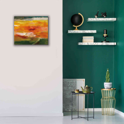 Image of 'Bog Journey' by Jo Maye, Canvas Wall Art,24 x 20