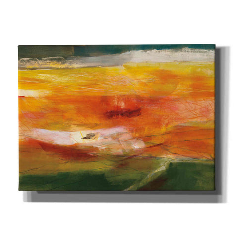 Image of 'Bog Journey' by Jo Maye, Canvas Wall Art