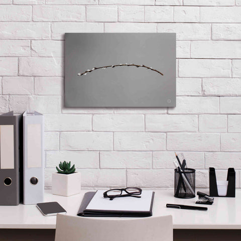 Image of 'Springtime in the Air' by Nathan Larson, Canvas Wall Art,18 x 12