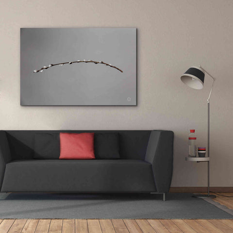 Image of 'Springtime in the Air' by Nathan Larson, Canvas Wall Art,60 x 40