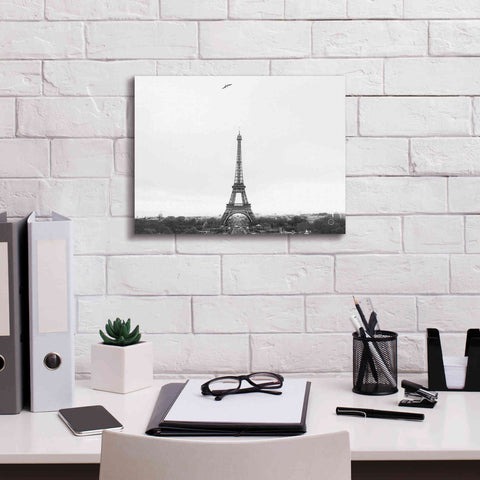 Image of 'A Birds View of Paris' by Nathan Larson, Canvas Wall Art,16 x 12