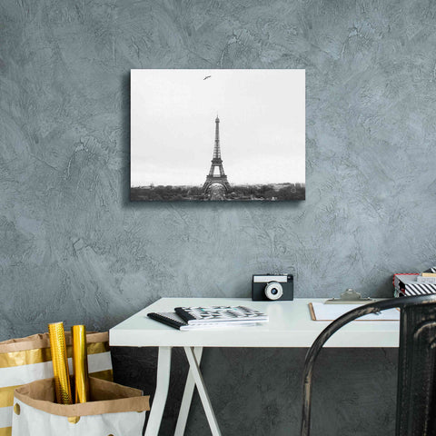 Image of 'A Birds View of Paris' by Nathan Larson, Canvas Wall Art,16 x 12