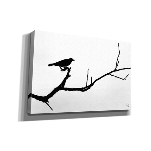 Image of 'Bird Silhouette' by Nathan Larson, Canvas Wall Art