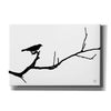 'Bird Silhouette' by Nathan Larson, Canvas Wall Art
