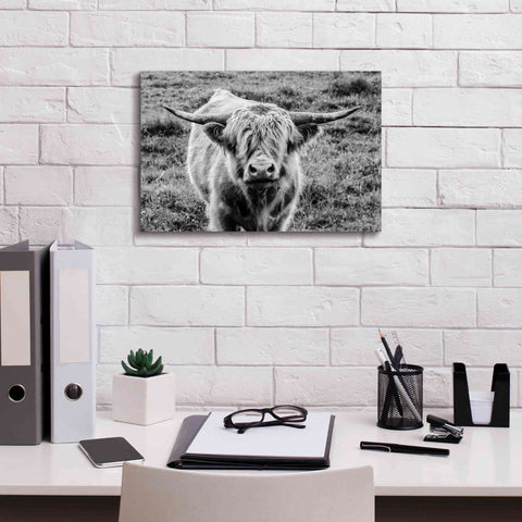 Image of 'Highland Cow Staring Contest' by Nathan Larson, Canvas Wall Art,18 x 12