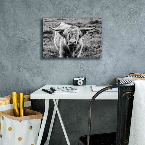 Image of 'Highland Cow Staring Contest' by Nathan Larson, Canvas Wall Art,18 x 12