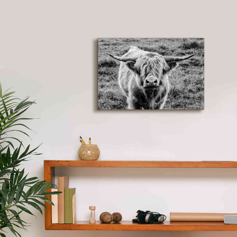 Image of 'Highland Cow Staring Contest' by Nathan Larson, Canvas Wall Art,18 x 12