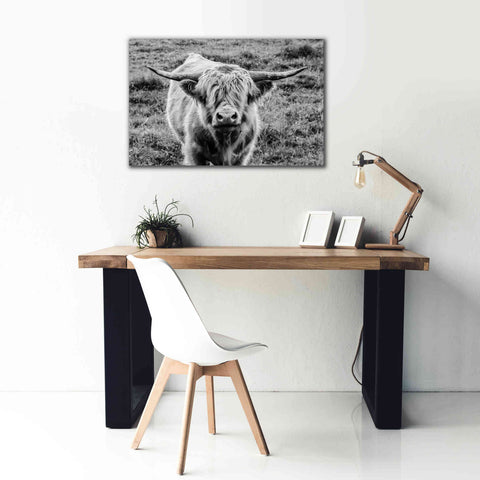 Image of 'Highland Cow Staring Contest' by Nathan Larson, Canvas Wall Art,40 x 26
