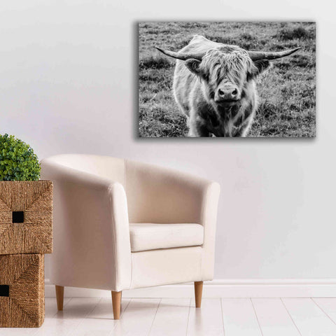 Image of 'Highland Cow Staring Contest' by Nathan Larson, Canvas Wall Art,40 x 26